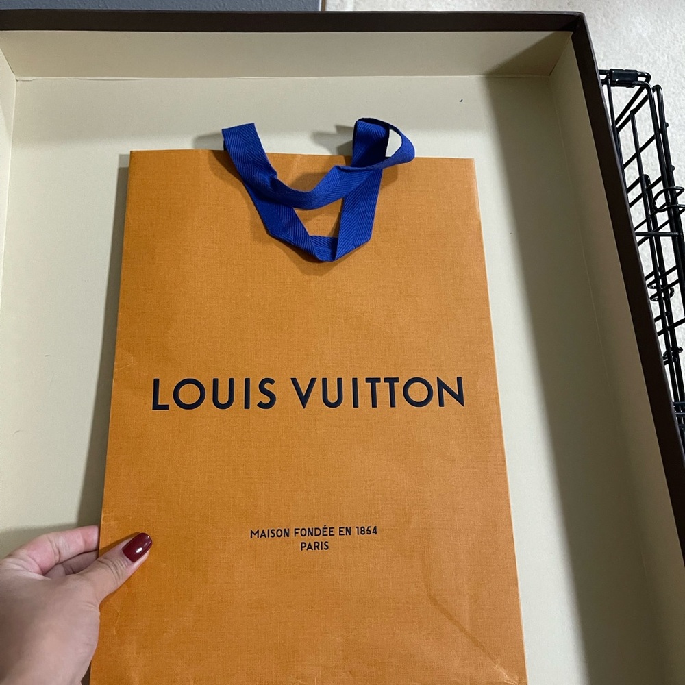 Louis Vuitton Bag